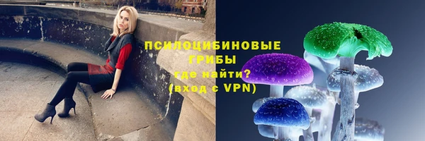 ГАЛЛЮЦИНОГЕННЫЕ ГРИБЫ Алексин