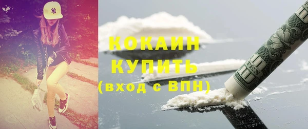 стаф Абинск