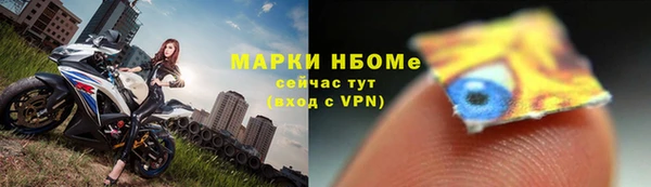 стаф Абинск