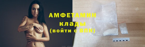 ГАЛЛЮЦИНОГЕННЫЕ ГРИБЫ Алексин