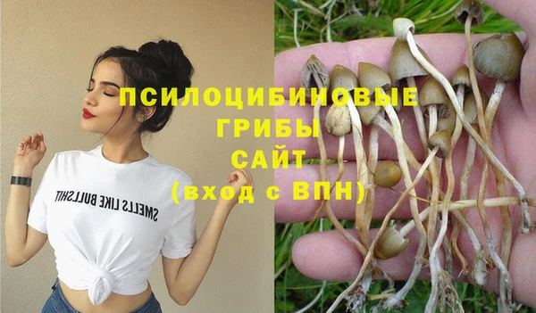 а пвп мука Алзамай