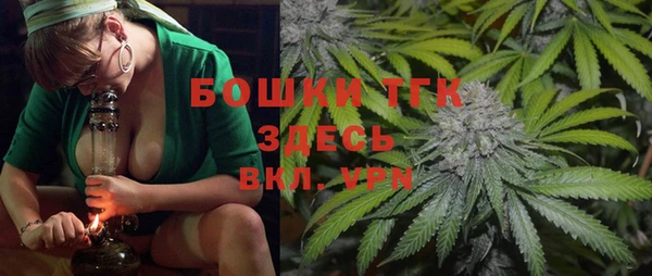 стаф Абинск