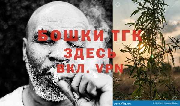 стаф Абинск