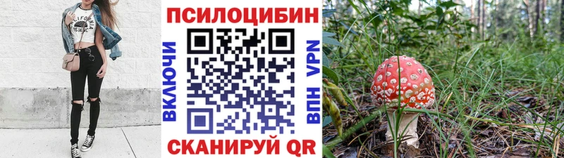 Галлюциногенные грибы Psilocybine cubensis Зарайск